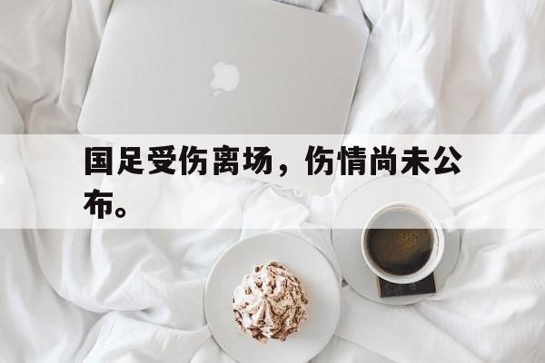 登录入口-国足受伤离场，伤情尚未公布。